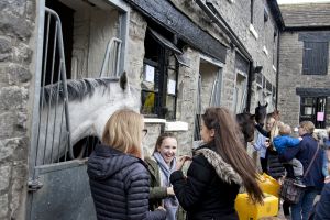 _middleham open day 20.jpg